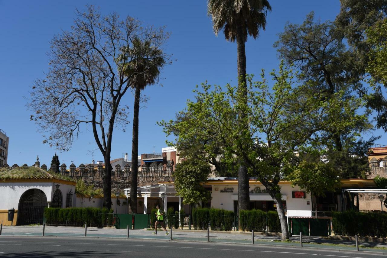 Modern Atico, Close Macarena/Sevilla Center מראה חיצוני תמונה